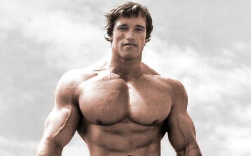 Arnold Schwarzenegger Height